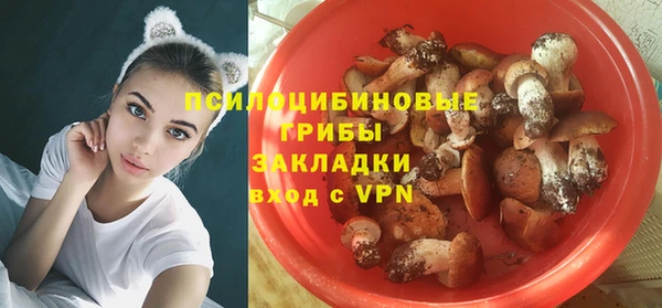 сатива Абдулино