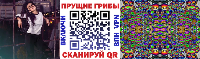 купить   Мамоново  Галлюциногенные грибы Cubensis 